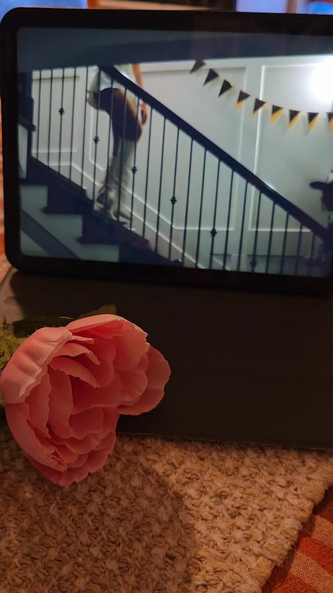 @Erika📚🧚♀️