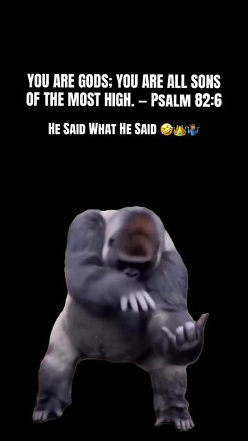 @mr_silverfox8