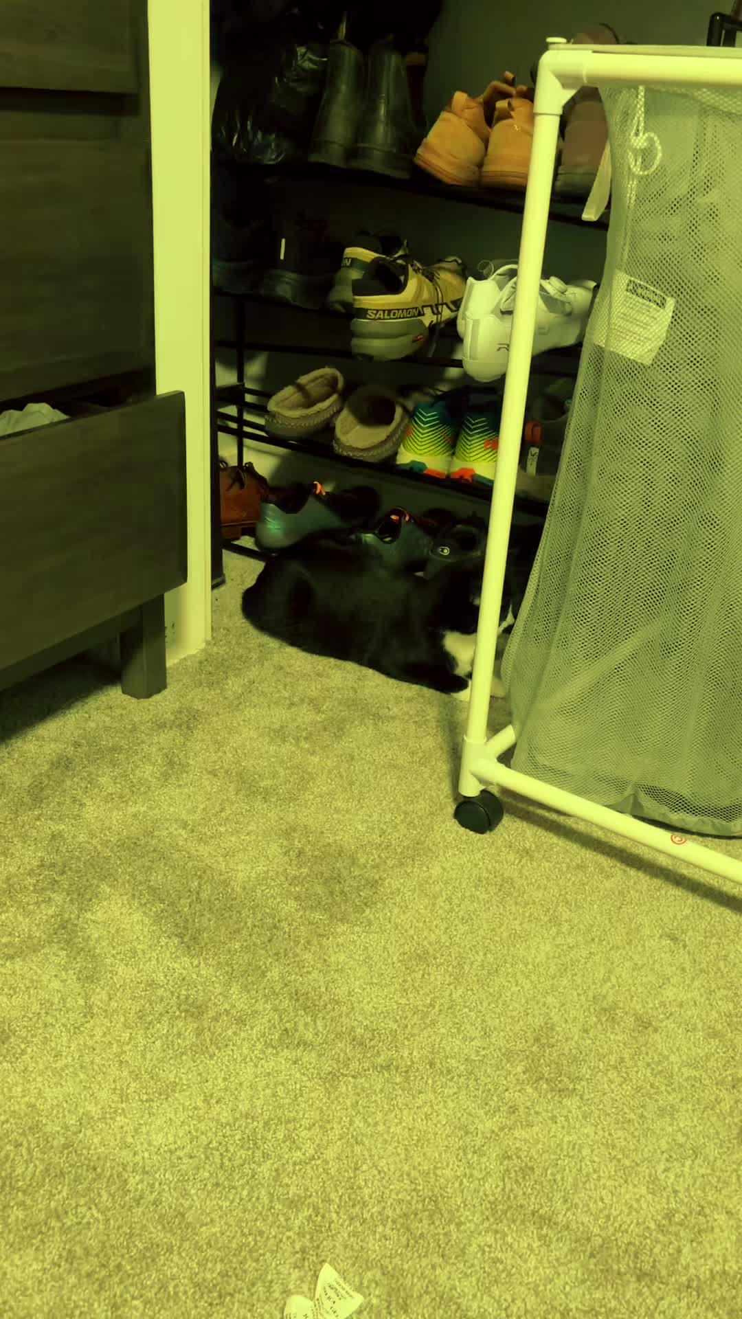 @Parkerlikesbikes