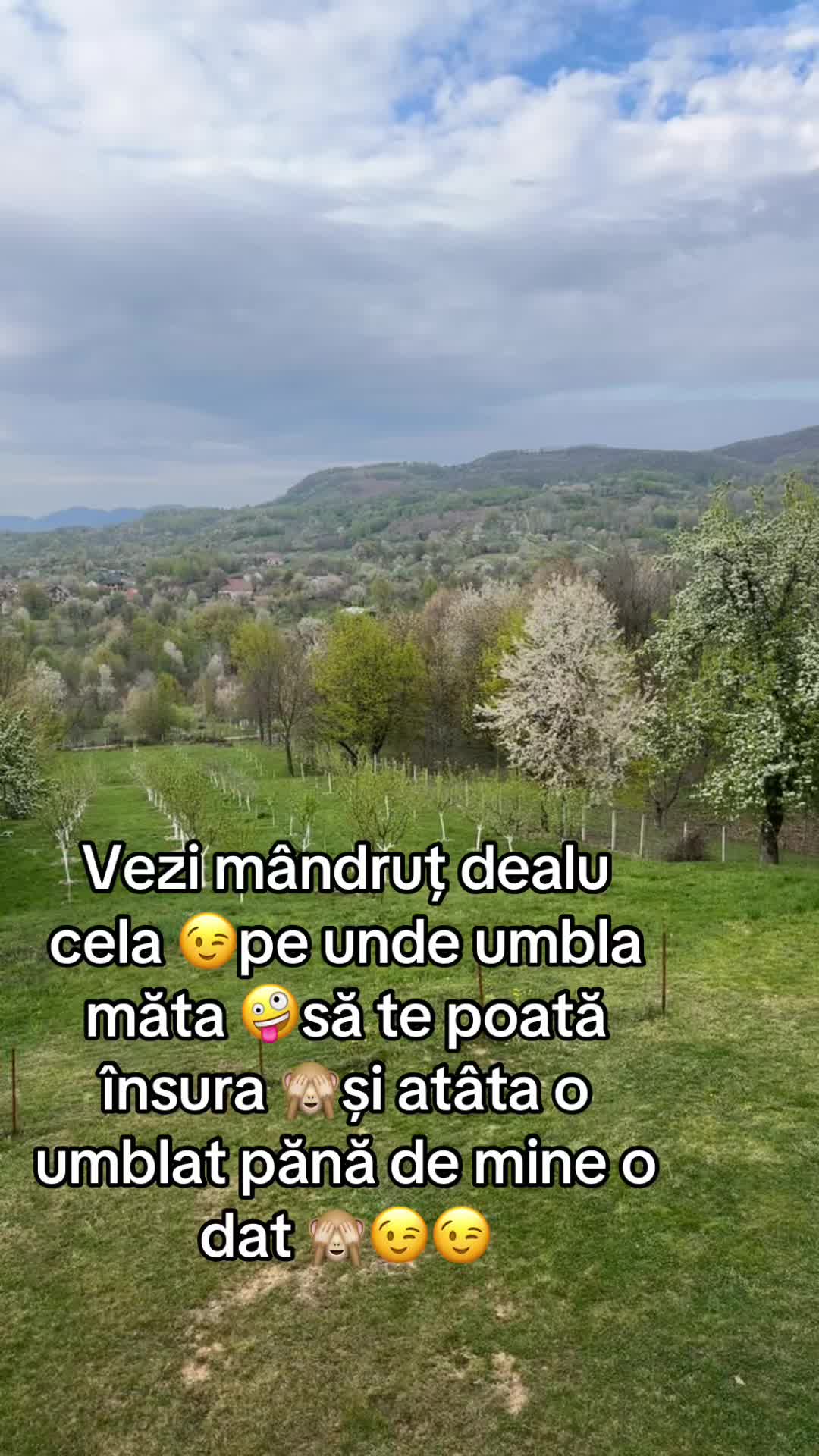 @&clubs;️BODANCA&clubs;️