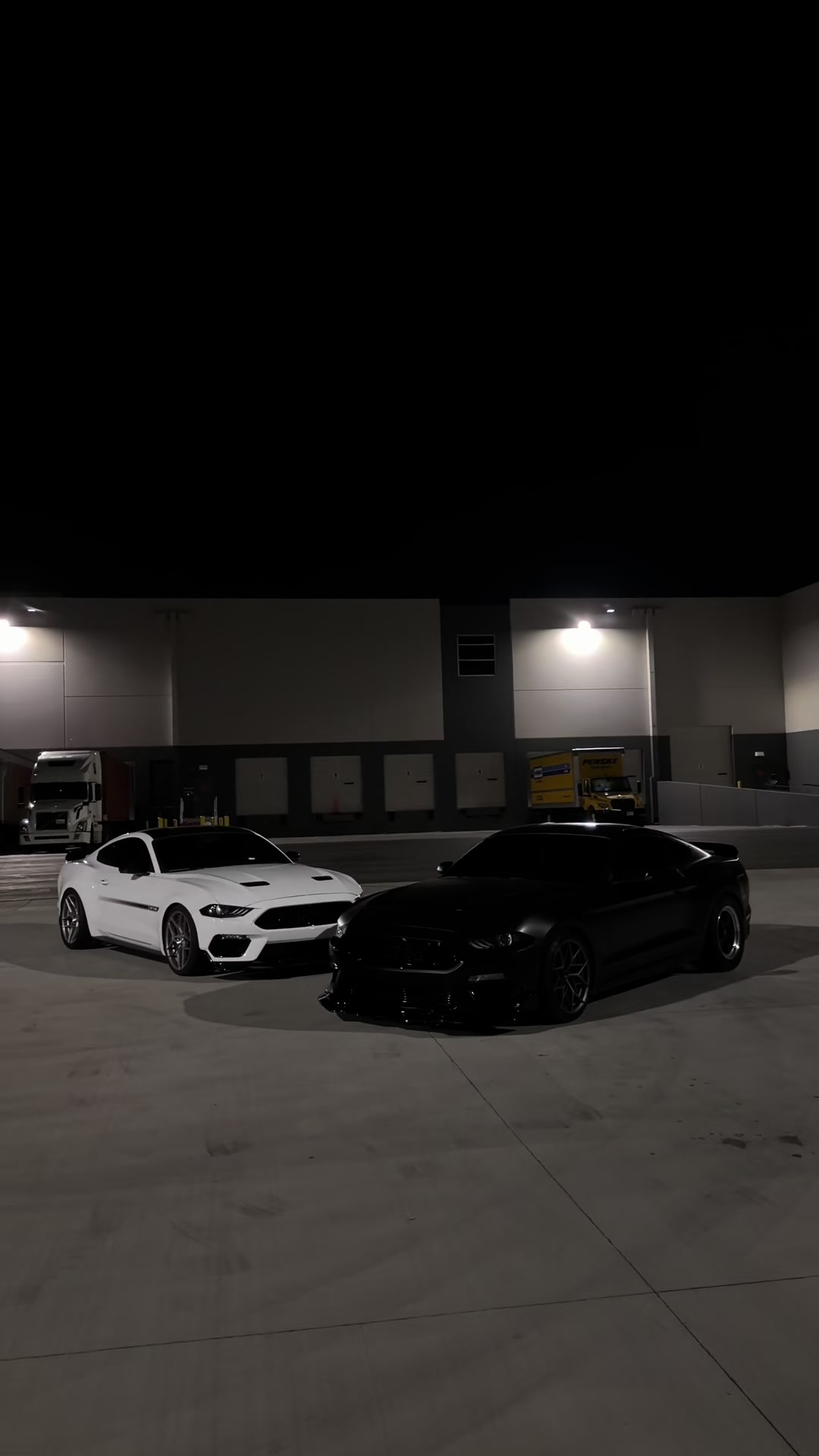 @Jalen.cs