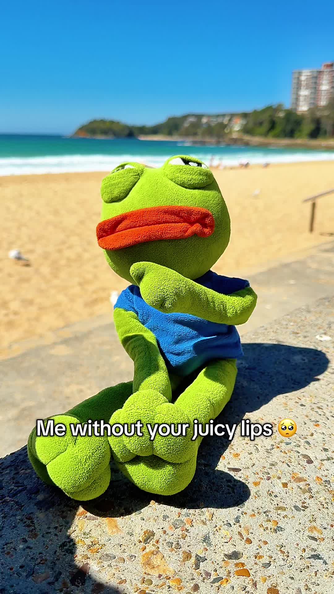@AdoptAPepe
