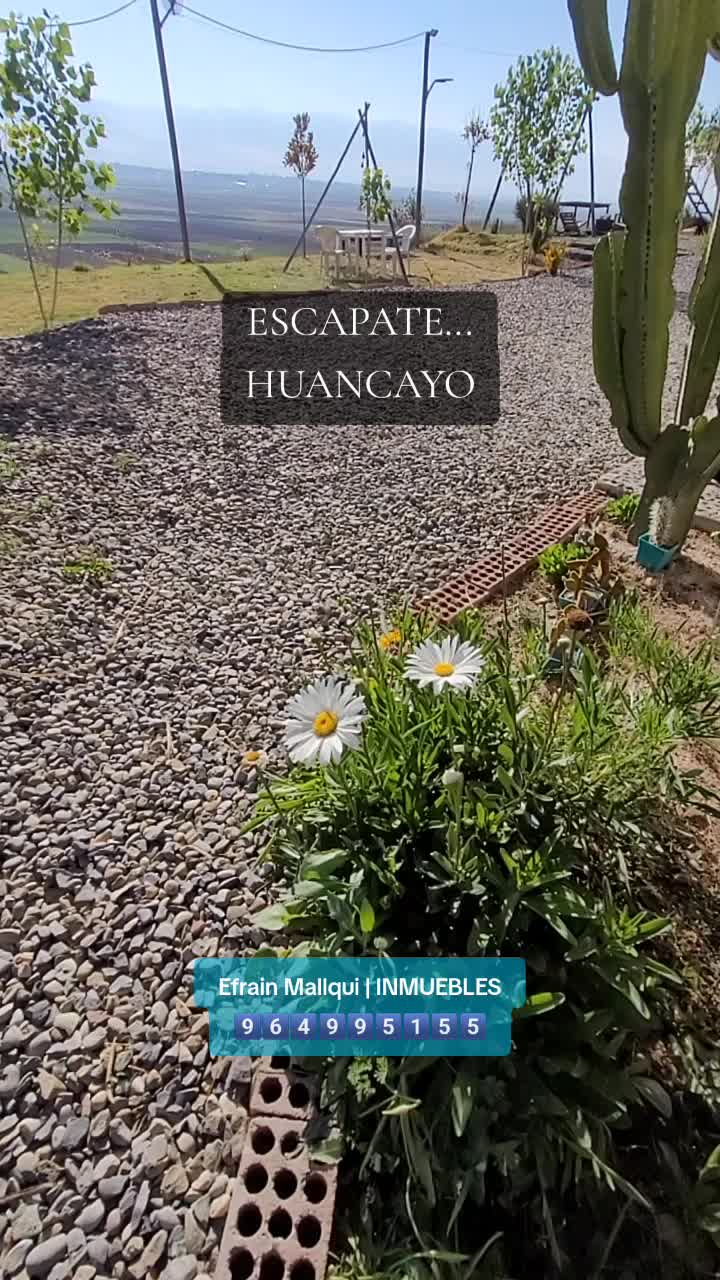 @CABAÑAS Mallqui
