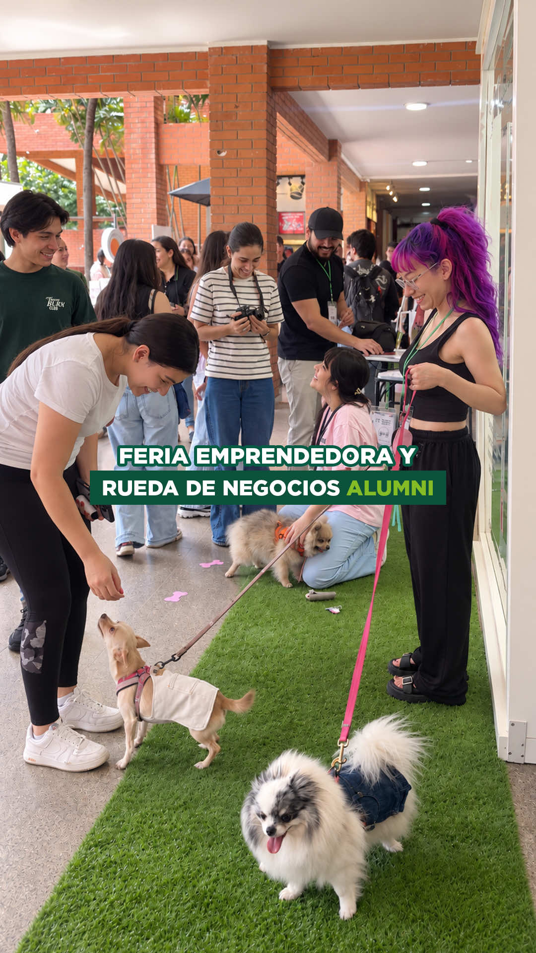 @Comunidad UPSA