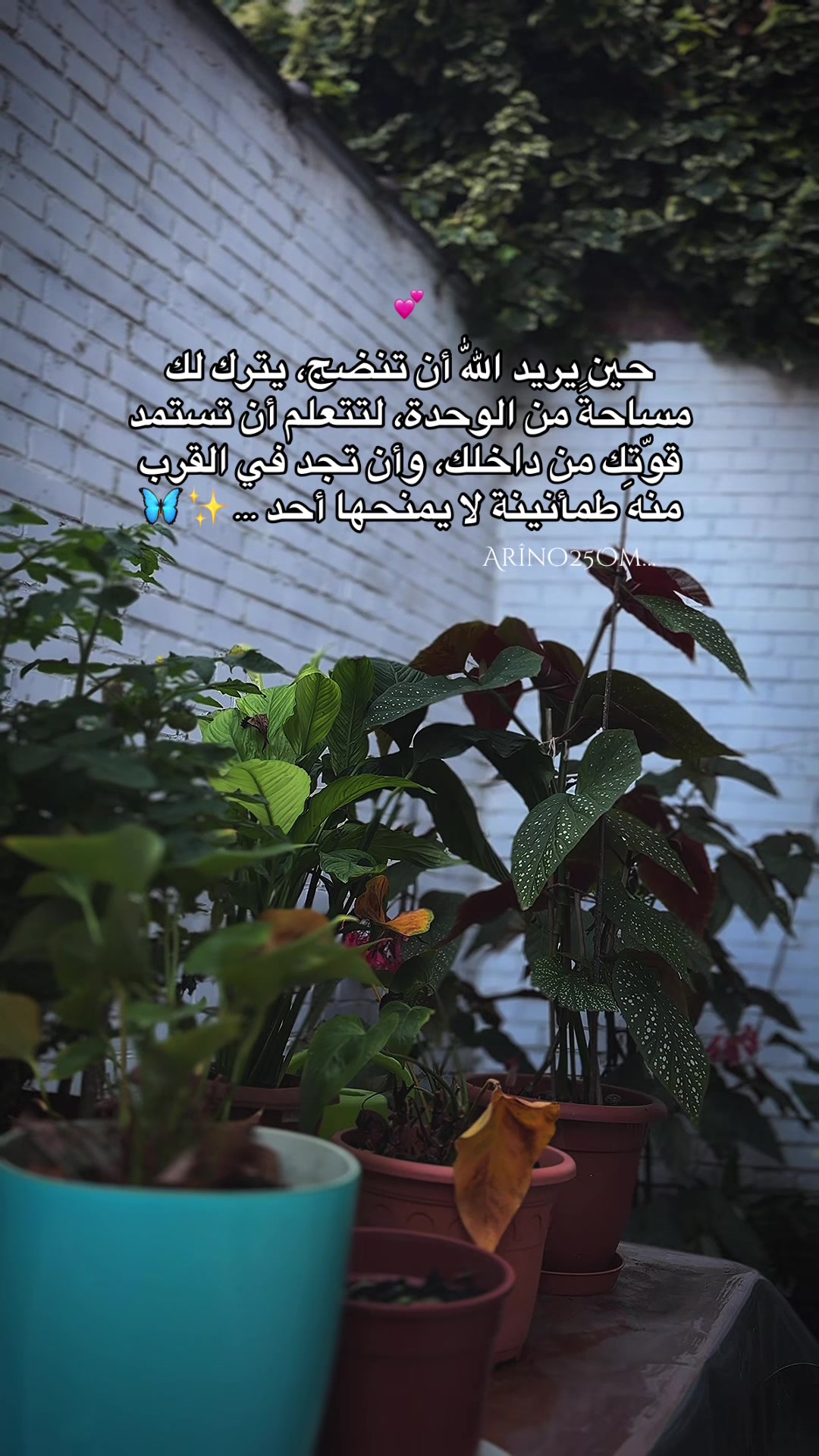 @Arîno25Om
