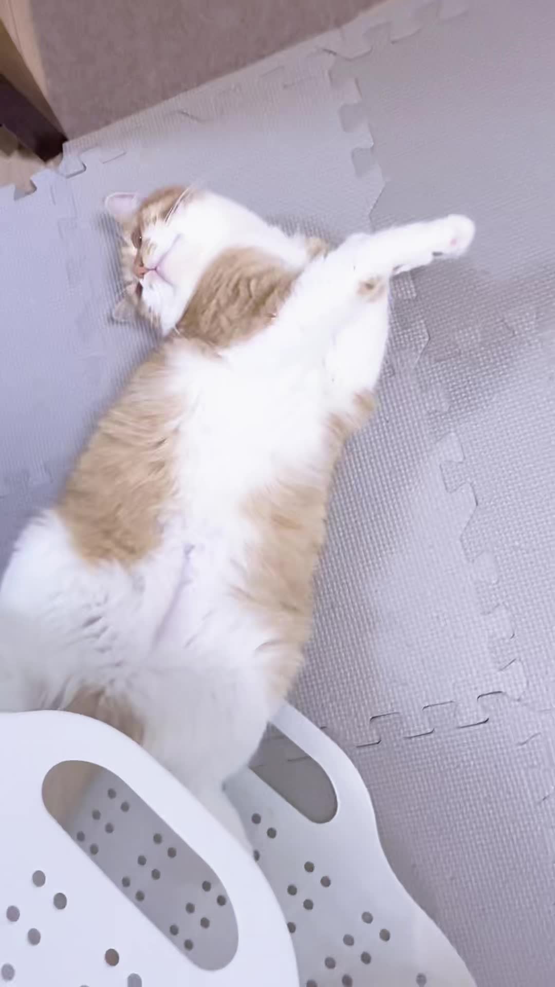 @マロン