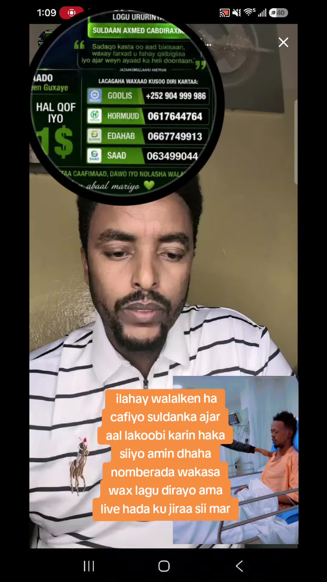 @hikma