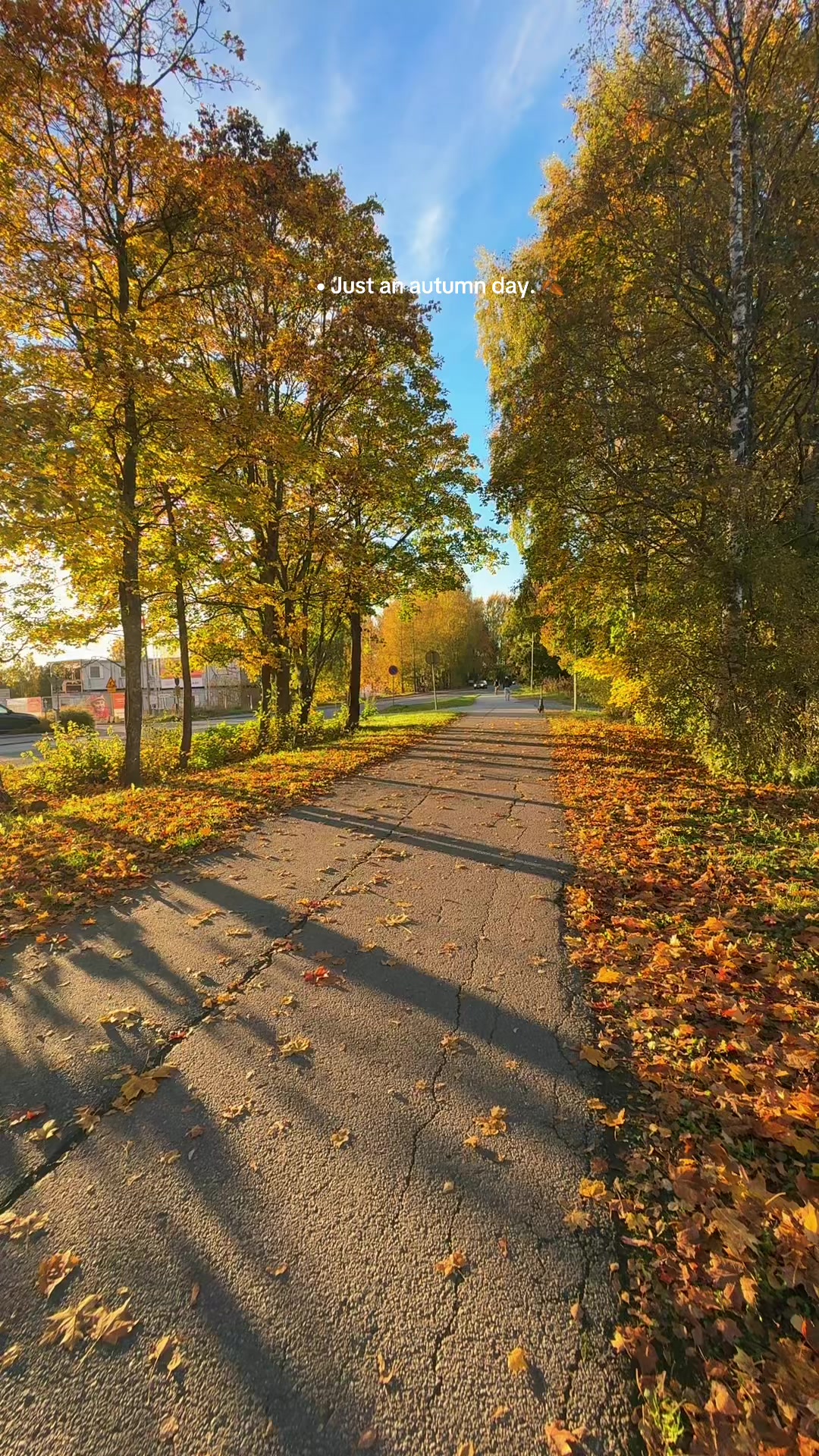 @TheLopezFamilyinFinland🇫🇮