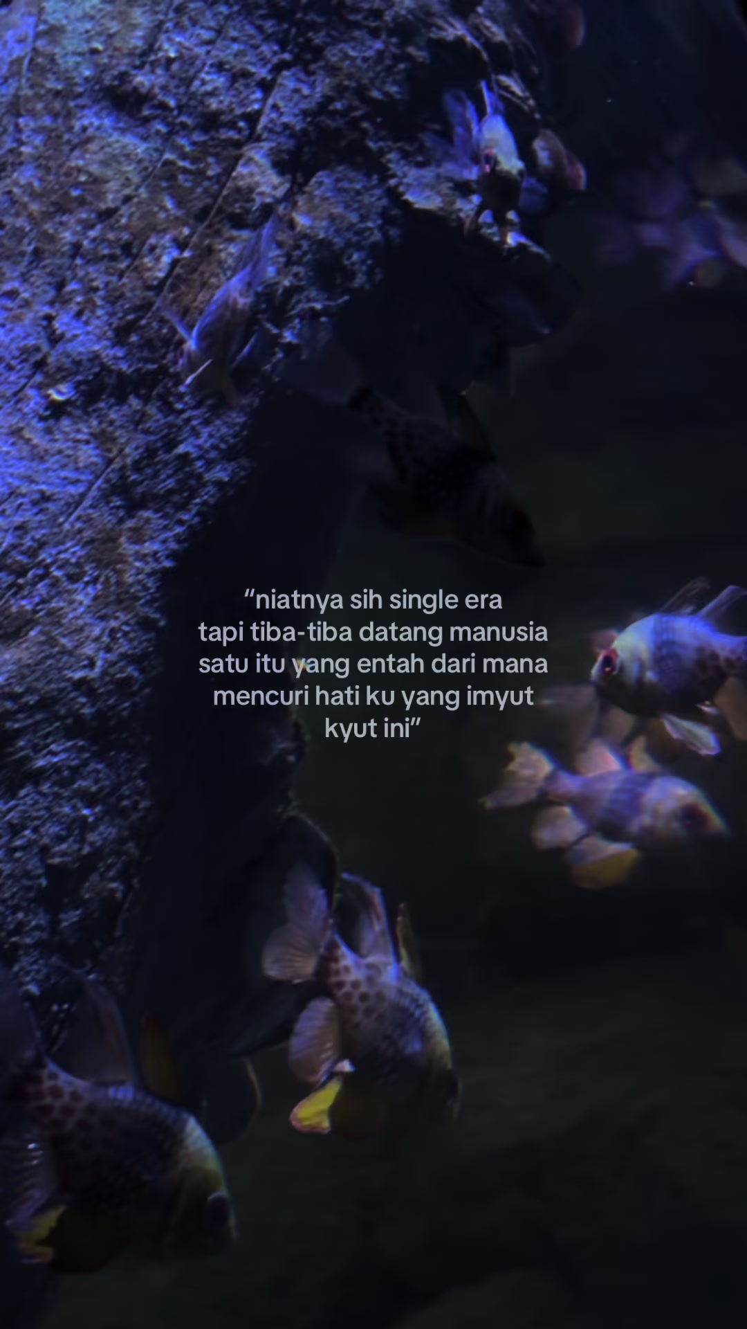 @𝗗𝗶𝗮𝗻𝘆