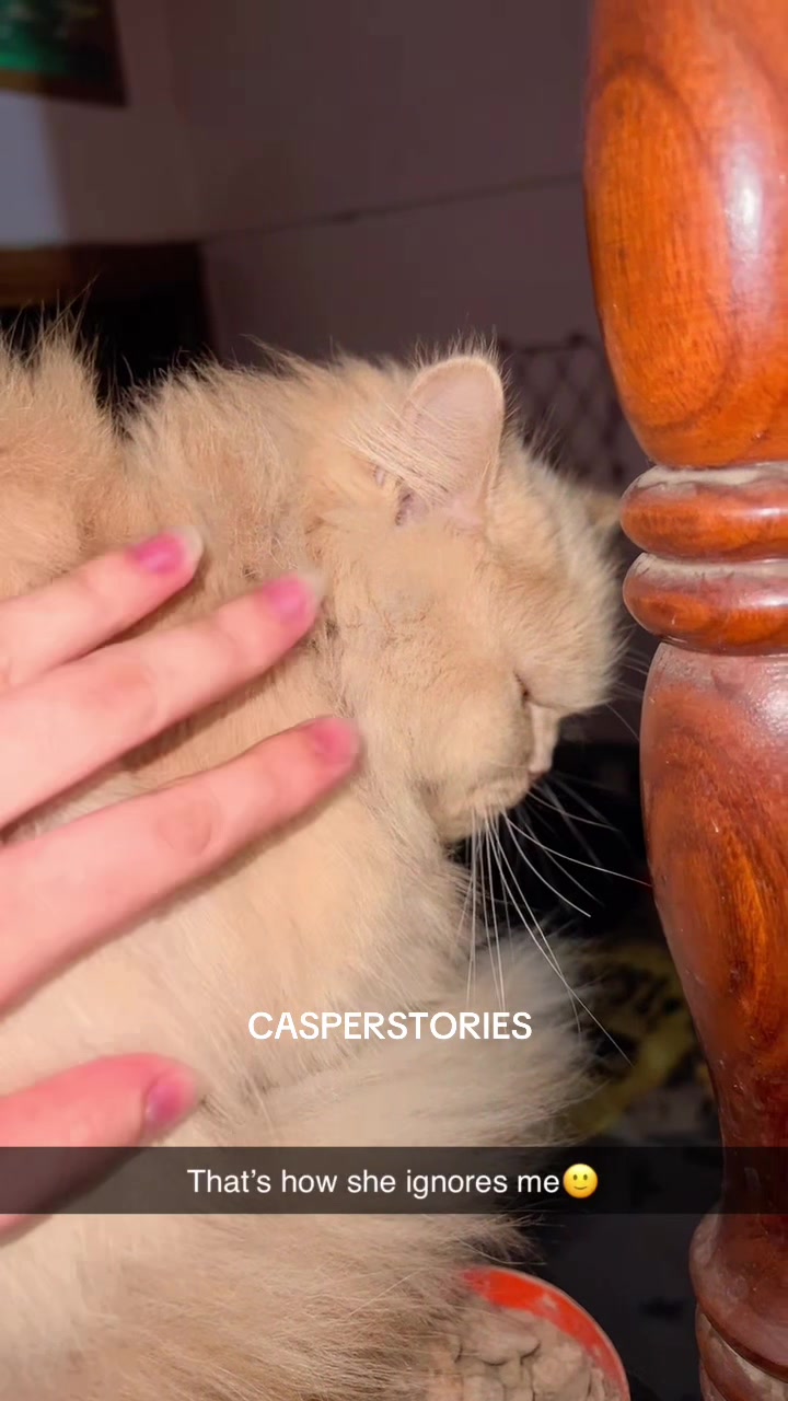 @𝑪𝒂𝒔𝒑𝒆𝒓 & 𝑴𝒊𝒏𝒏𝒊𝒆 🐾