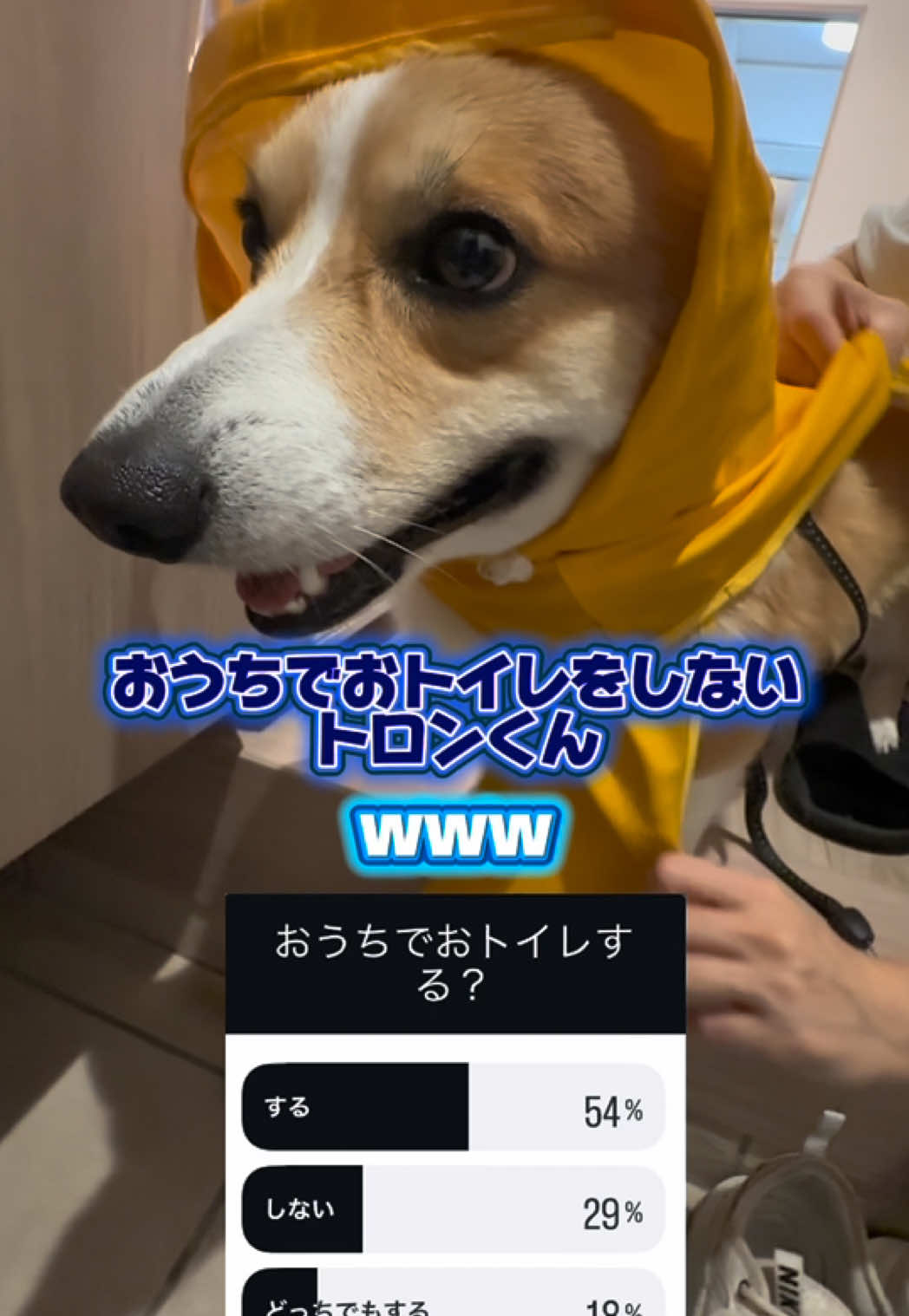@トロン