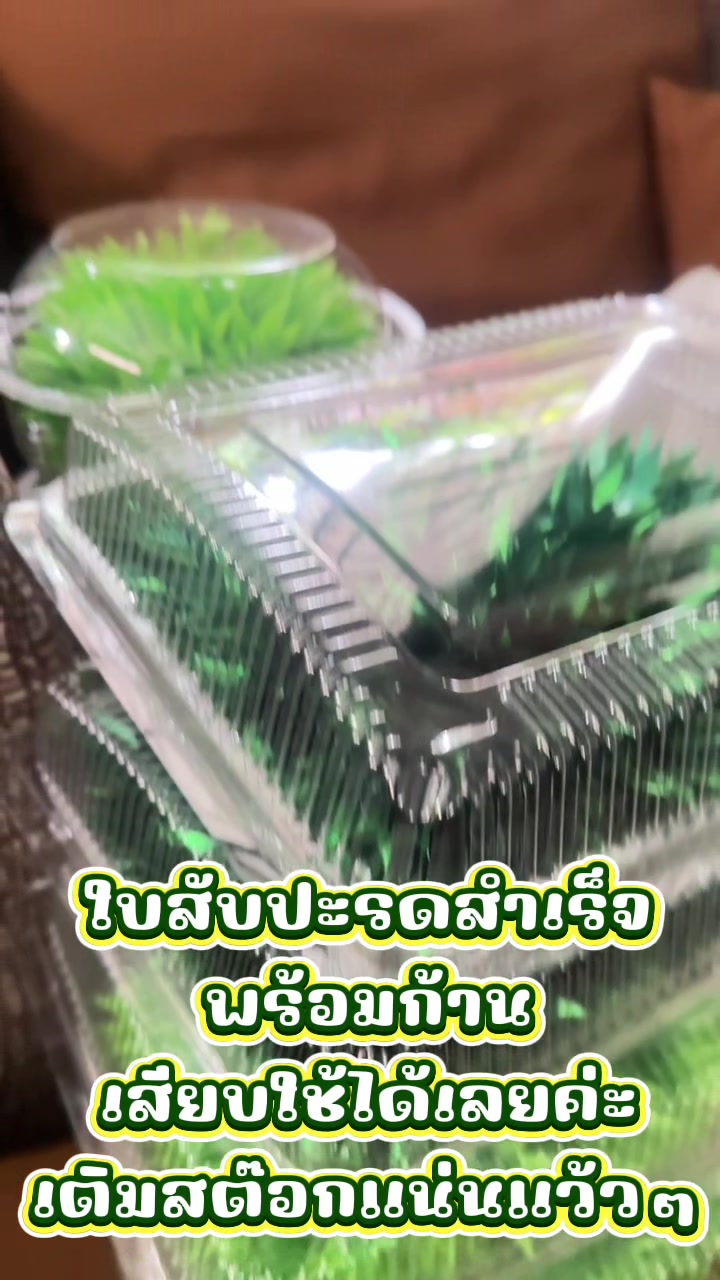 @เหรียญโปรยทาน By Cotton
