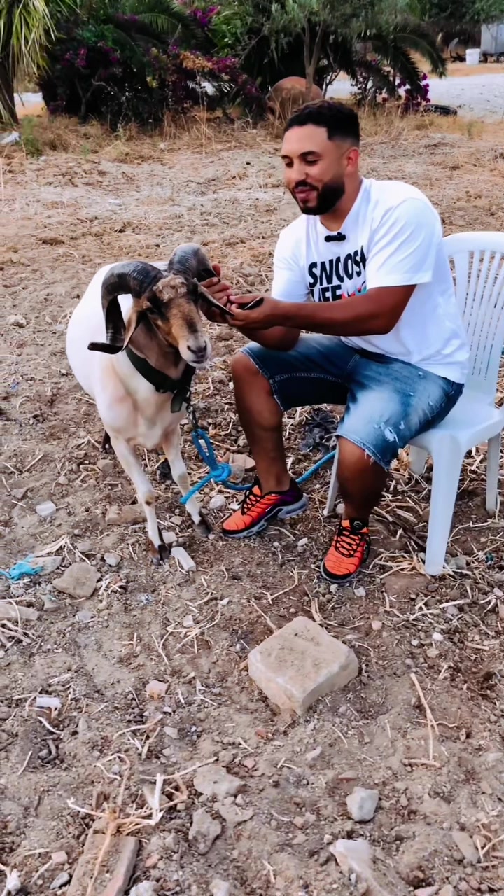 @سيف غرام زمان 🇹🇳