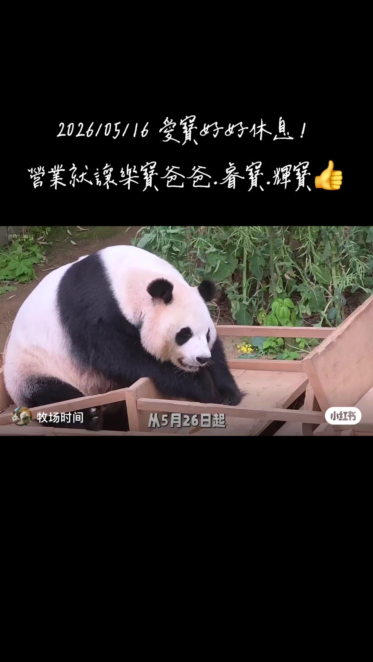 @福寶需要愛的抱抱