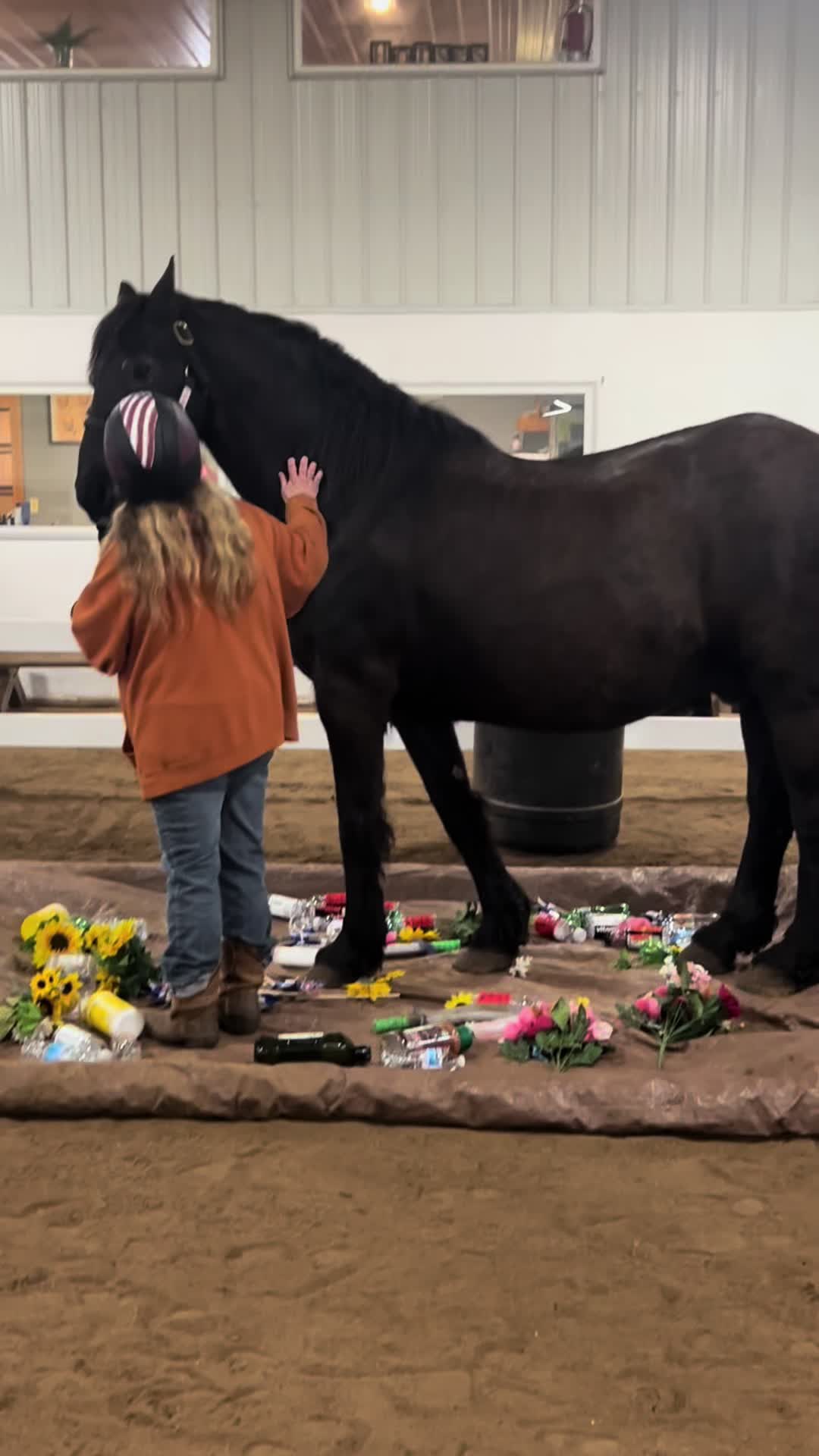 @Spirithorsecentermn