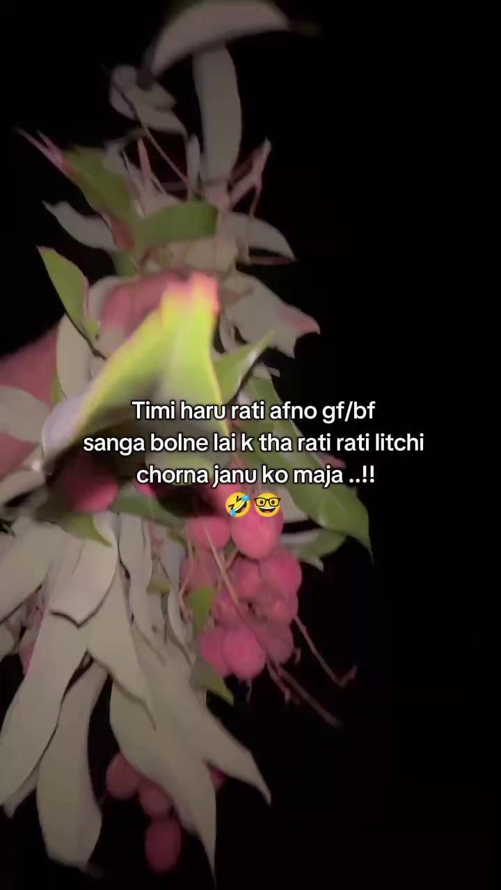 @🐷