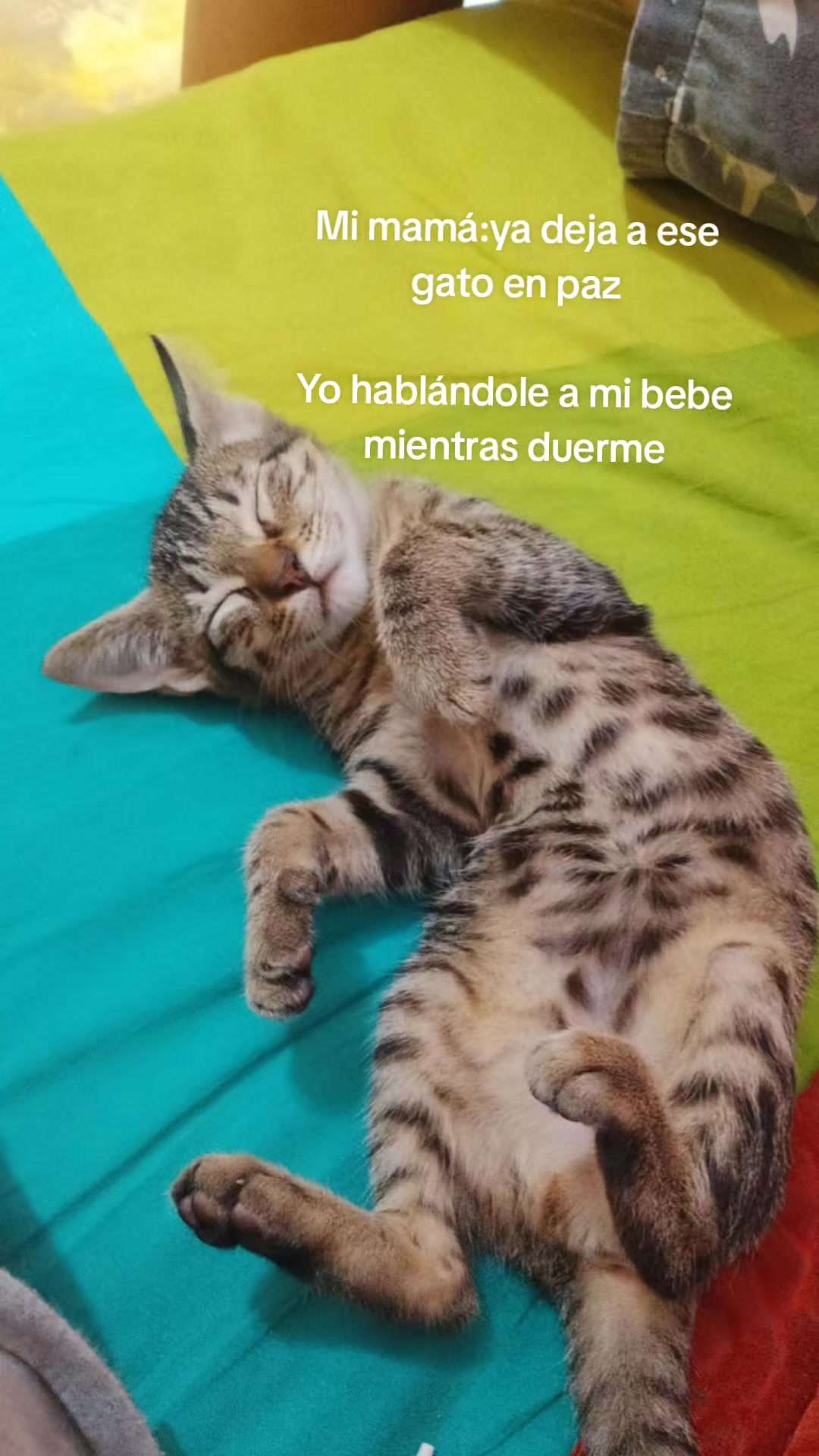 @𑣲𝓢𝓸𝓯𝓲⋆˚꩜。