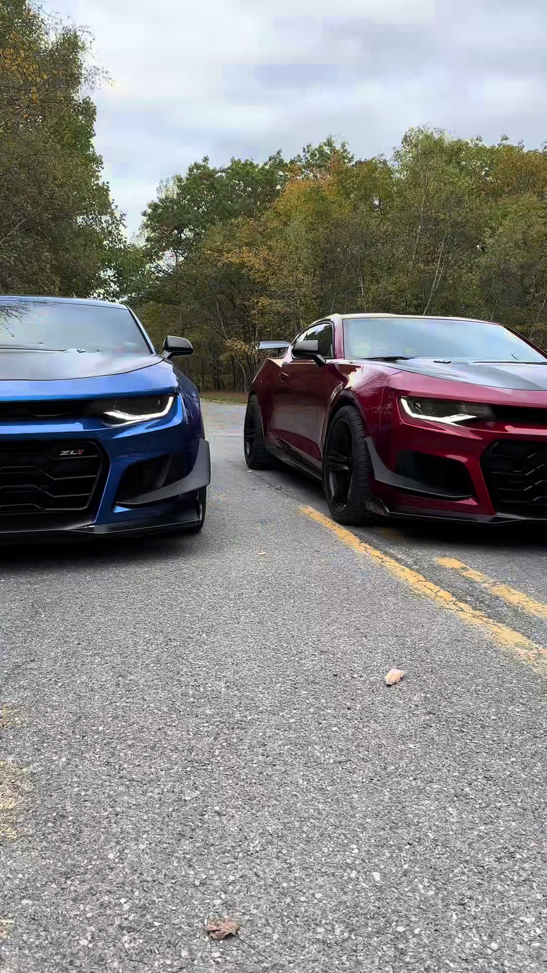 @VR ZL1