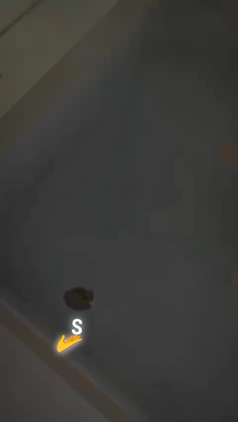 @𝕜𝕙𝕠𝕒𝕥𝕚 𝕚𝕤 𝕜𝕚𝕟𝕘