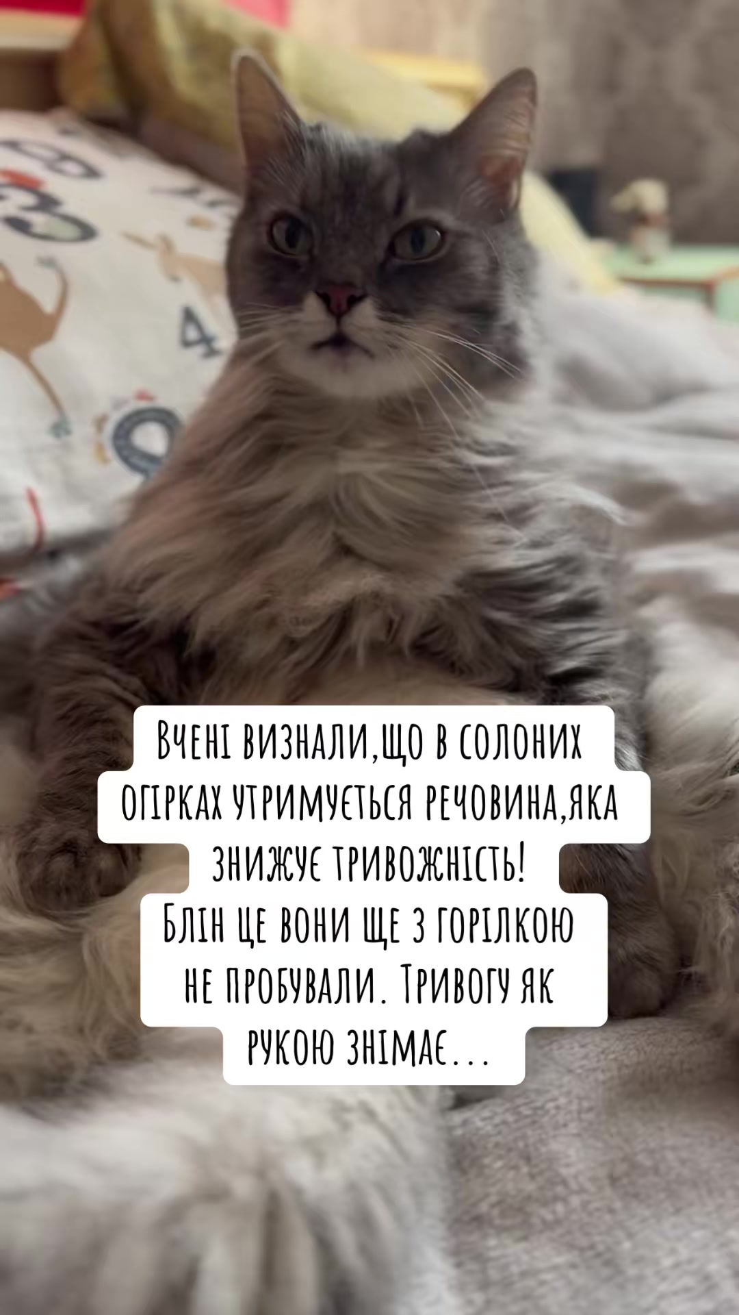 @timka.kit