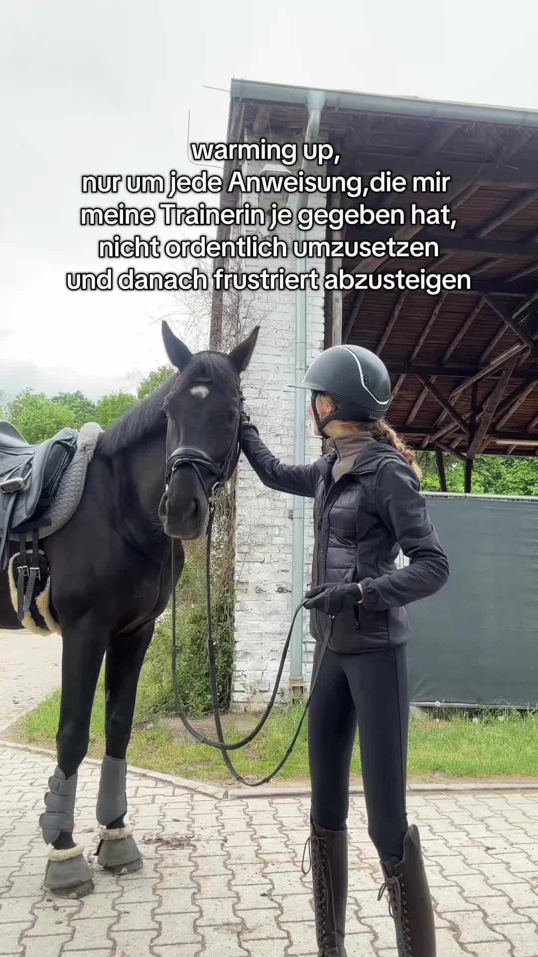 @evis.pferdechaos