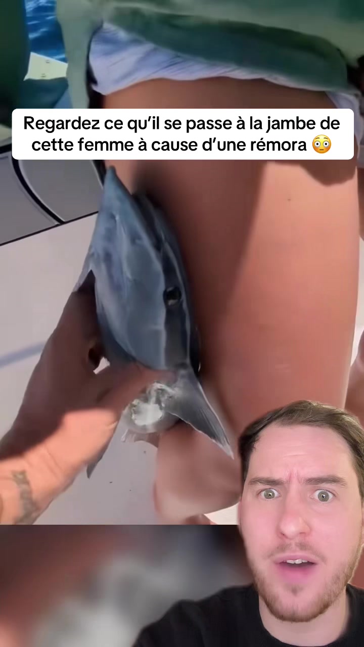 @lucasenparle