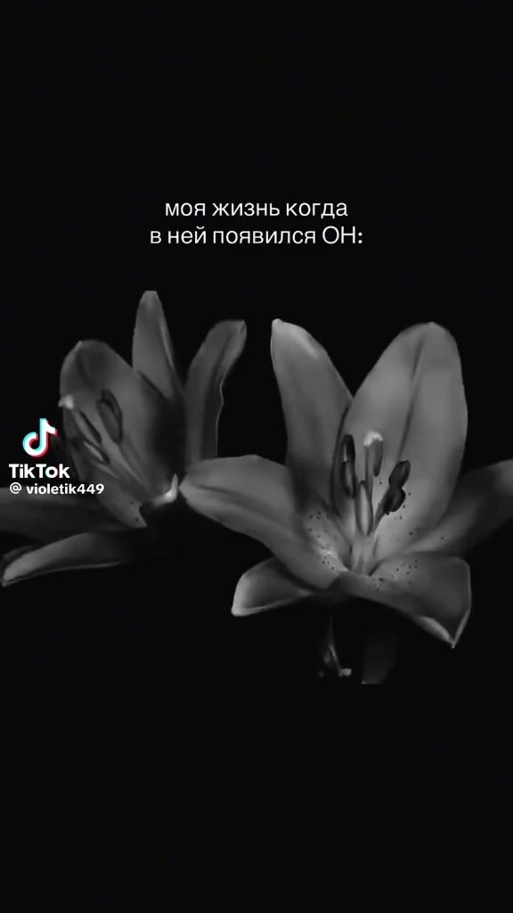 @☆꧁✬◦°˚°◦. Сибиряночка.◦°˚°◦✬꧂☆