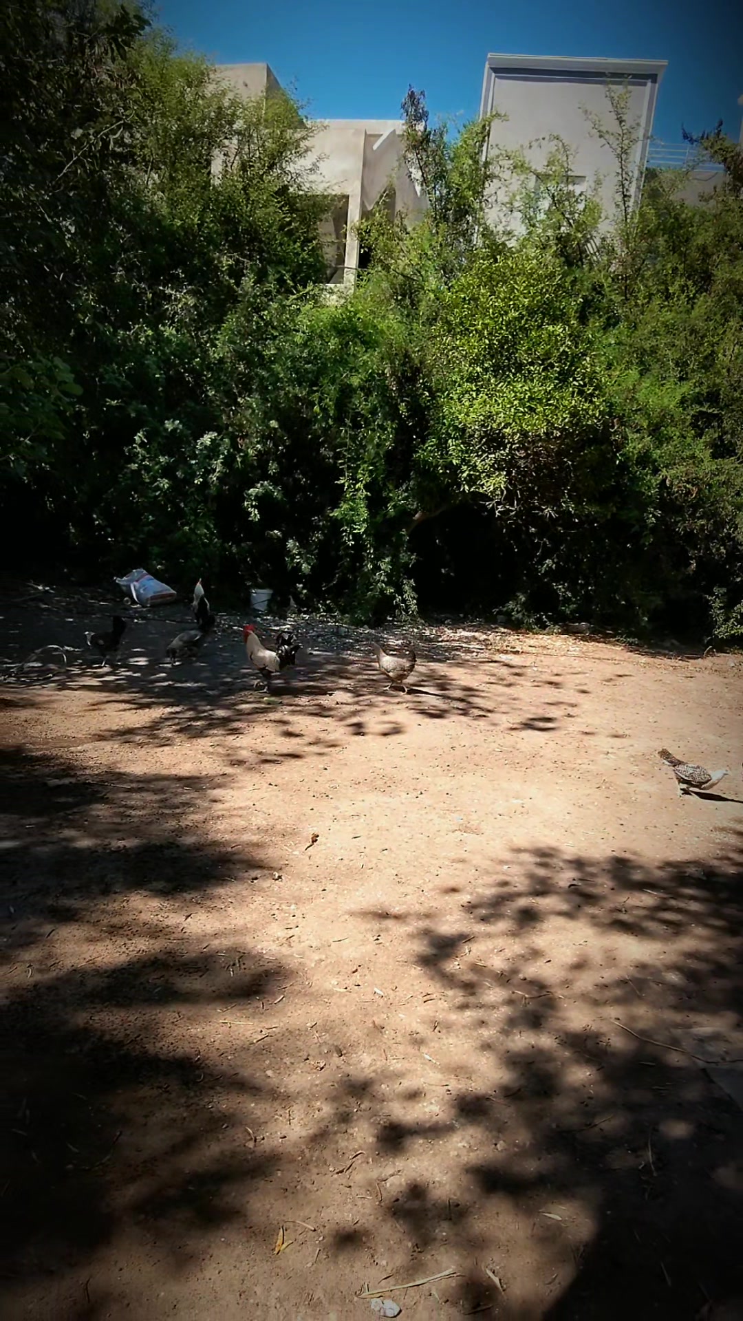 @Yosri Baklouti