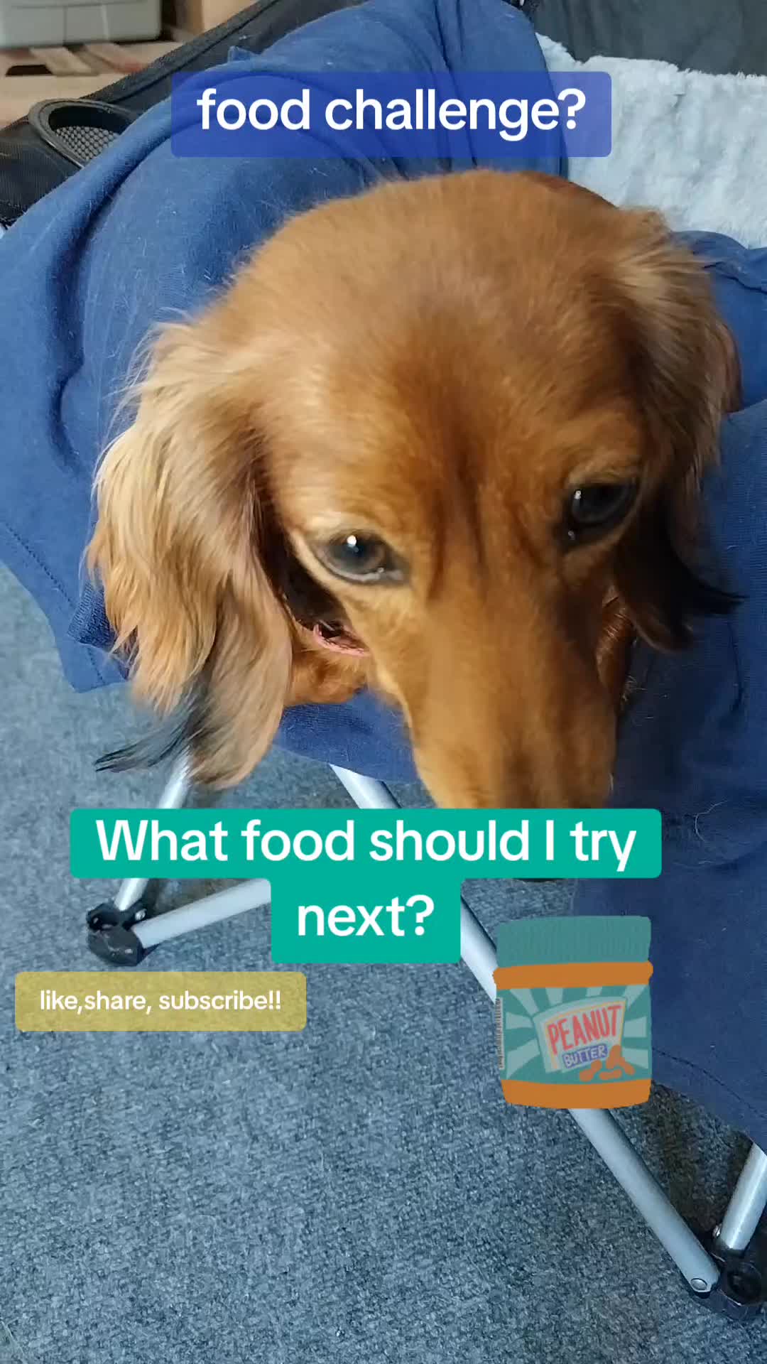@filmguy13z