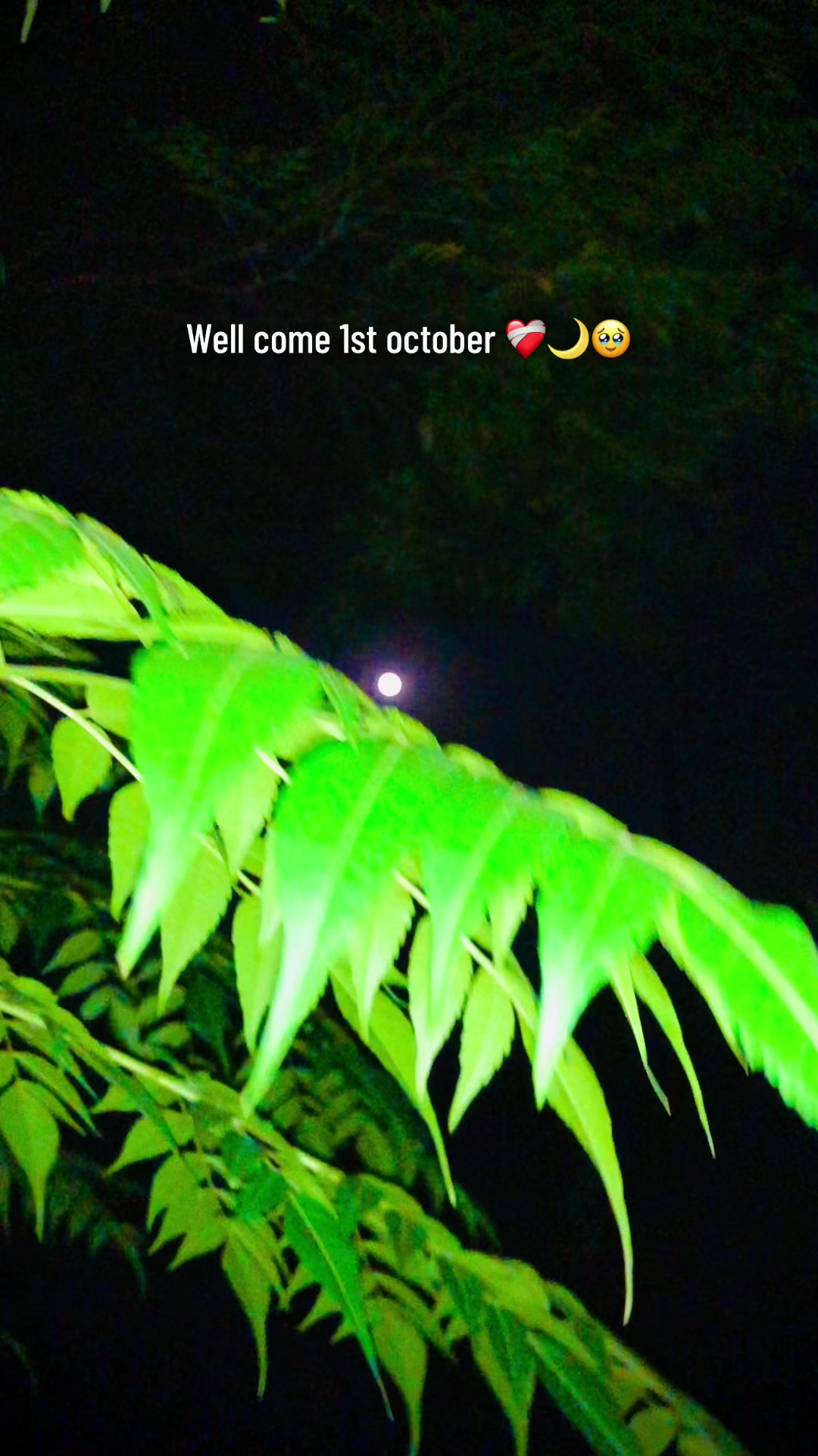 @پنڈا والے  راجپوت☘️☘️ظفر وال🤗