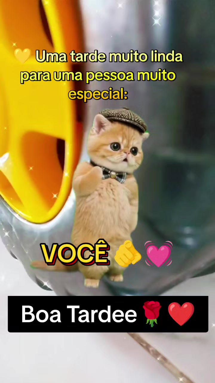 @girassol🌻