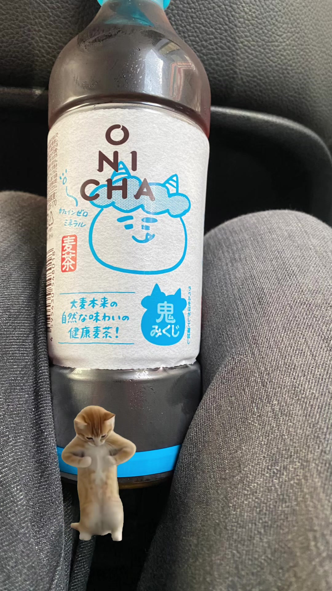 @✝︎˙˚ 𓆩 ✞ 𓆪 ˚˙✝︎