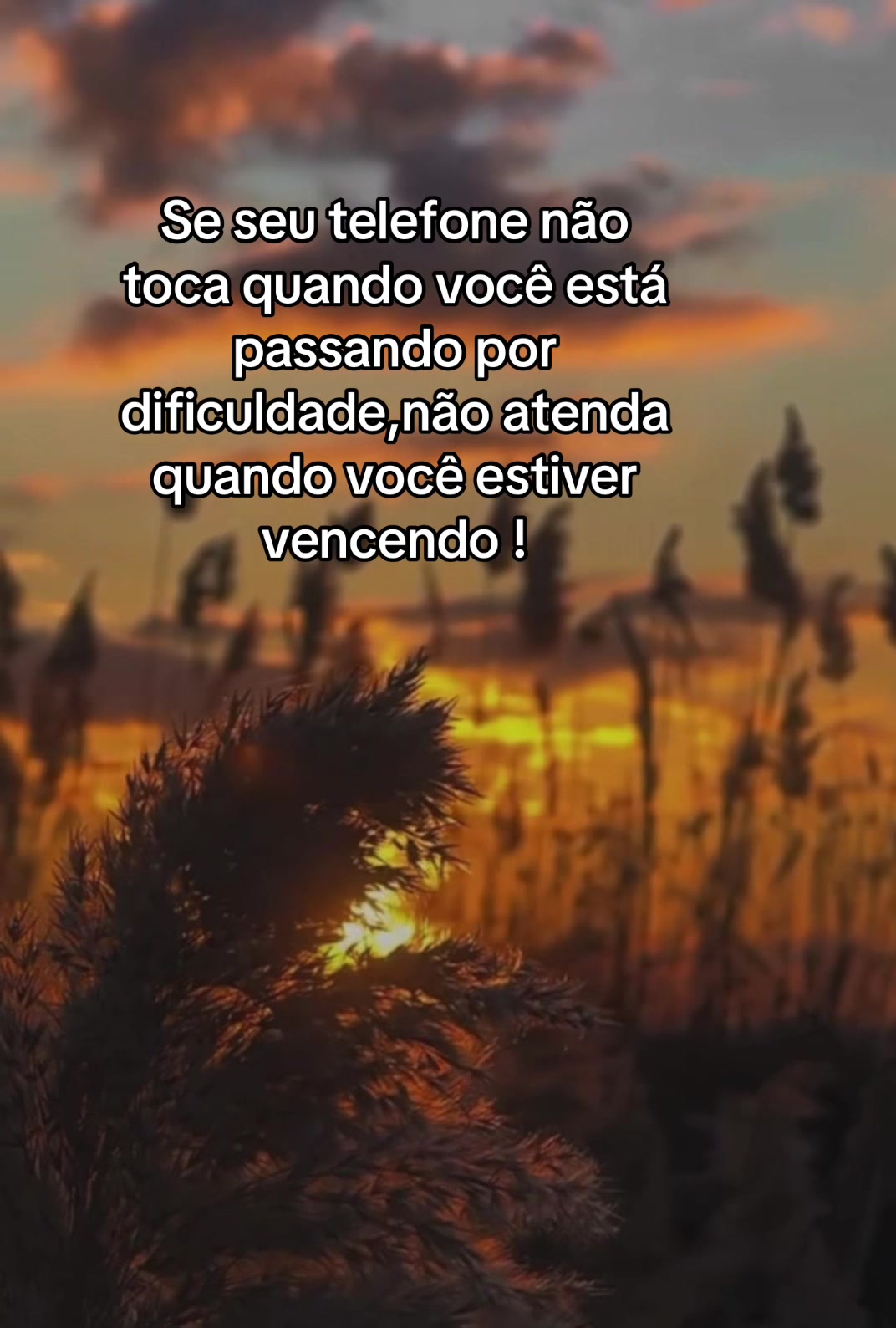 @Janeluce Souza💋