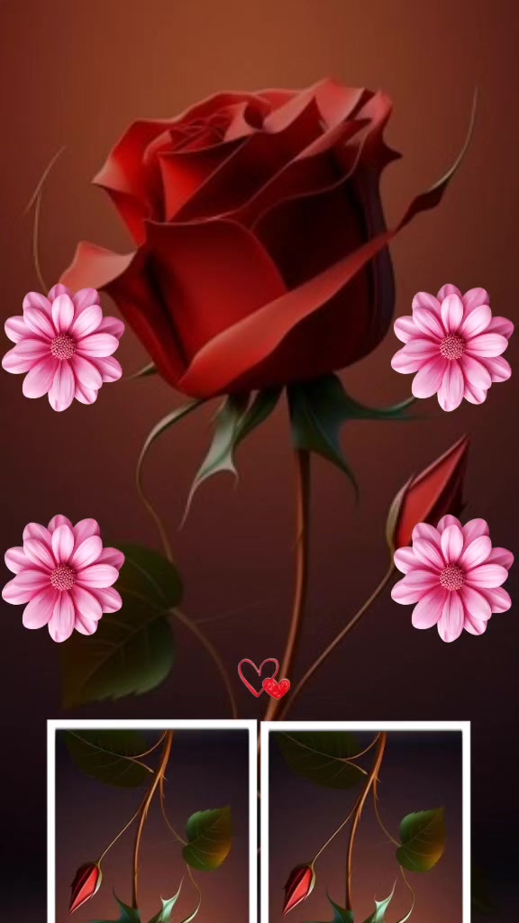 @Hasan