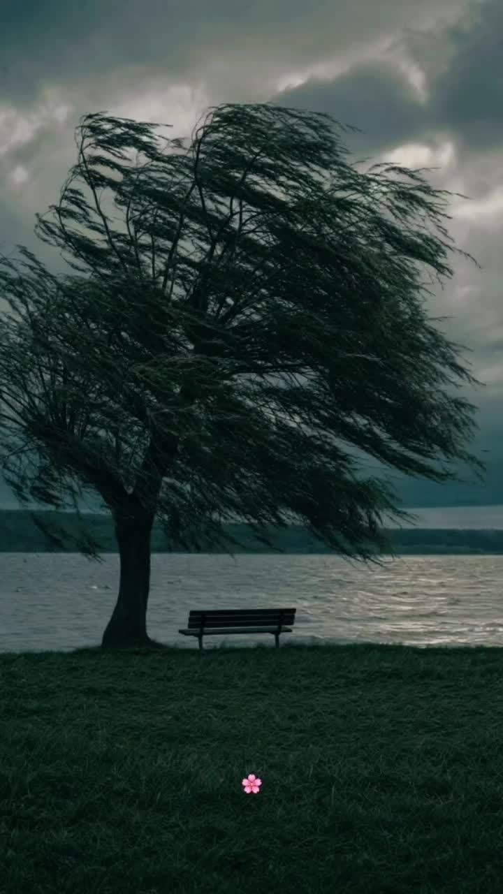 @𝐂𝐡𝐚𝐨𝐬 𝐐𝐮𝐞𝐞𝐧𝜗𝜚