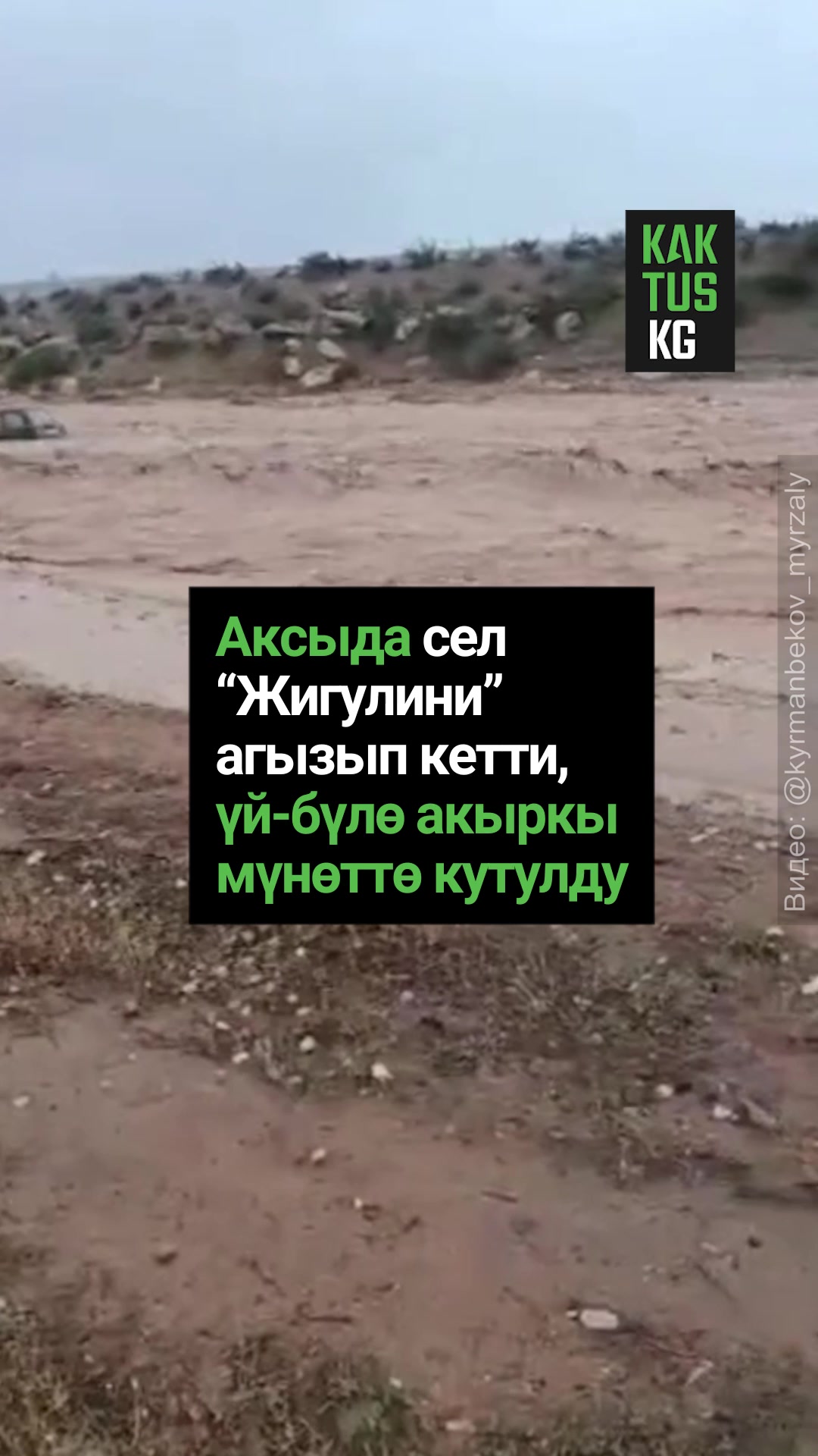 @Kaktus KG