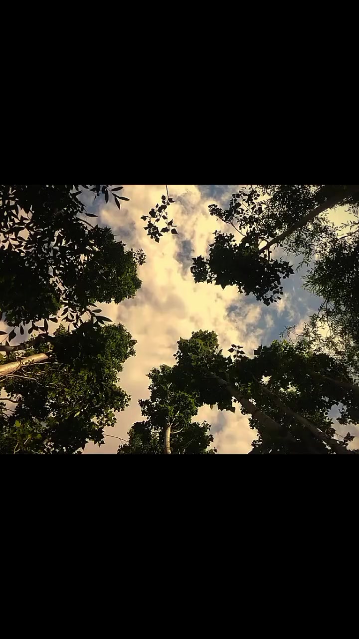 @𝐍𝐎𝐎𝐑-𝐁𝐔𝐓𝐓