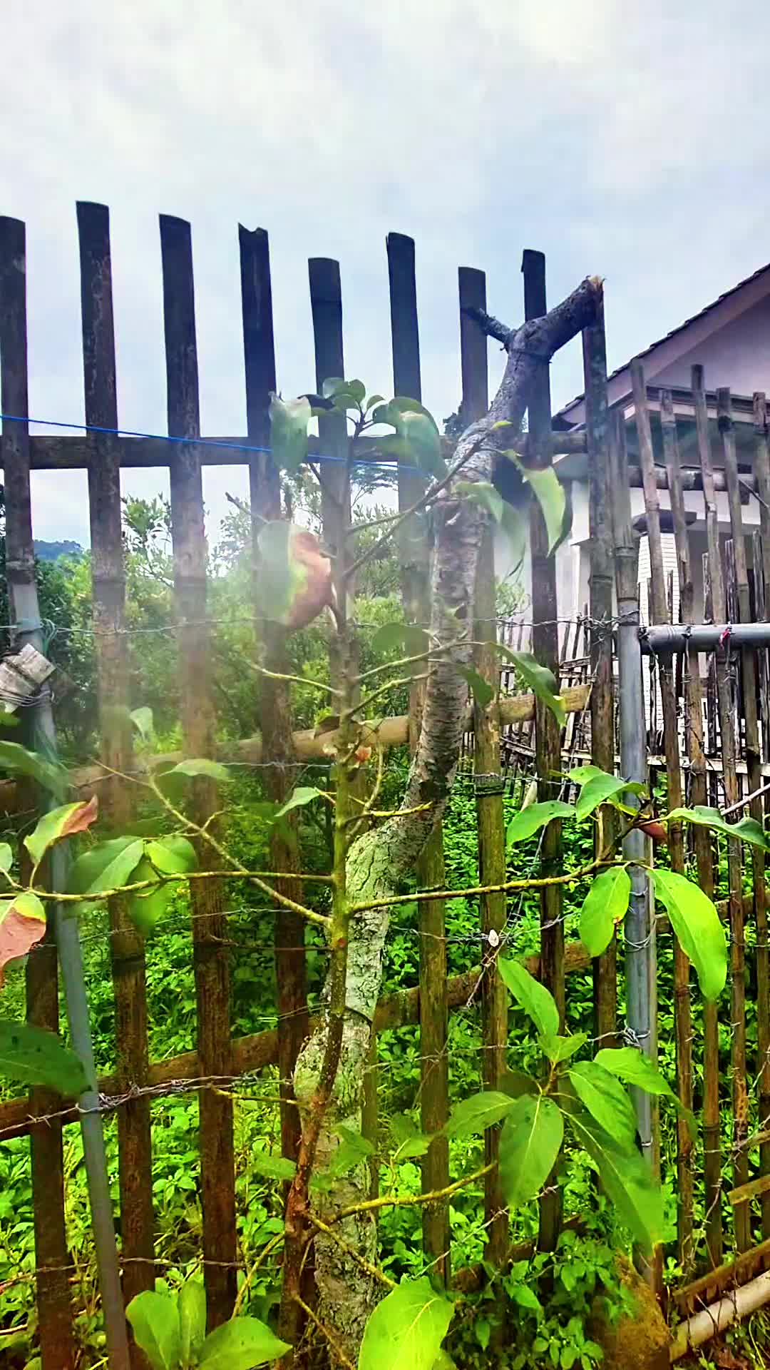 @Toko berkah jaya