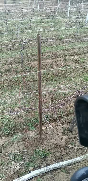 @Hickory Nut Fencing