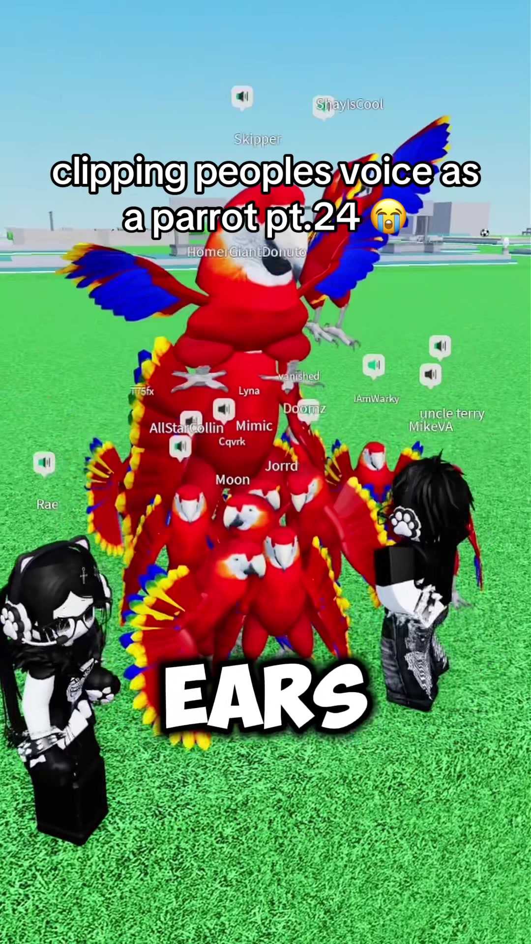 @nobrainjames