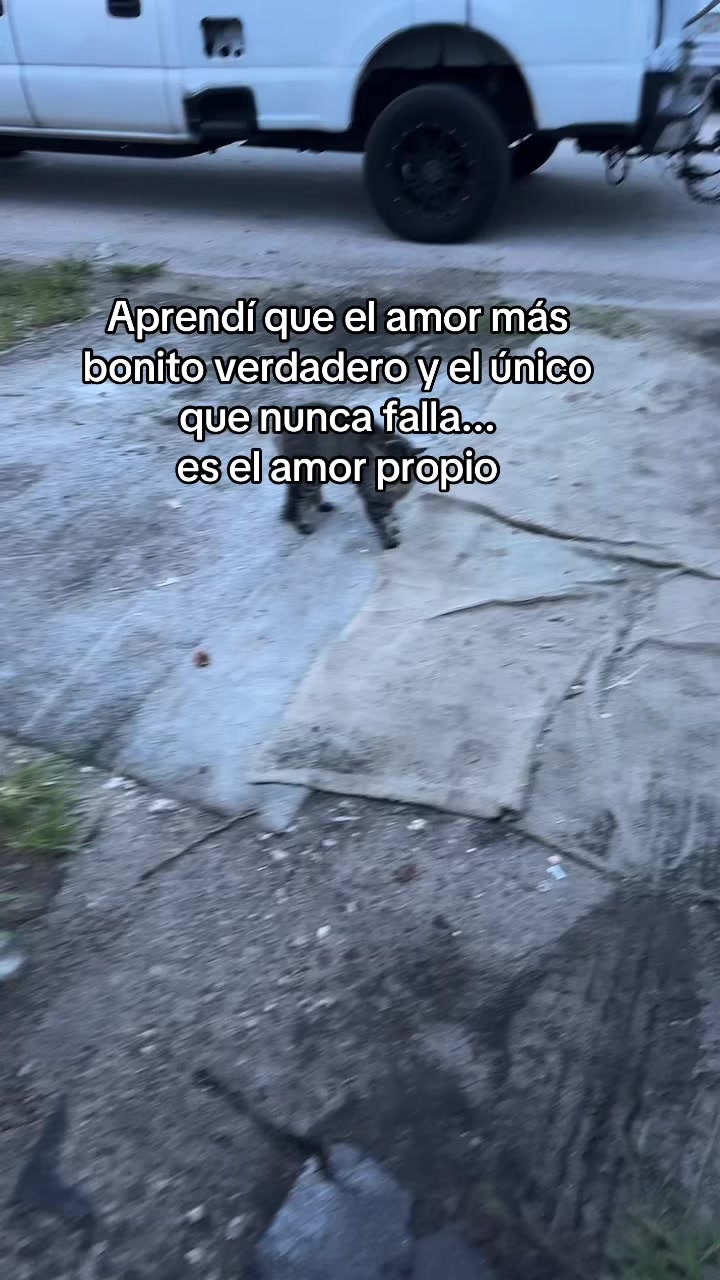 @Carlos Medina