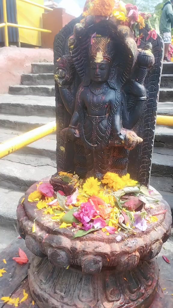 @roji bhandari 35