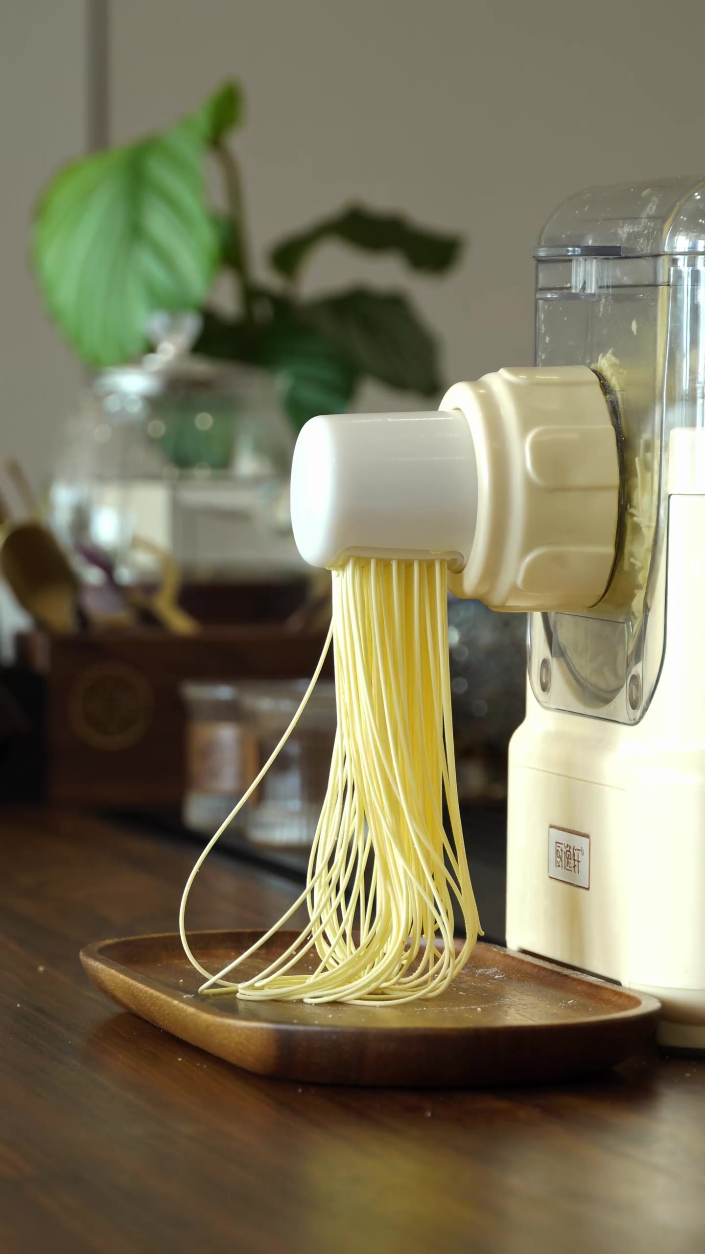 @Pasta maker factory