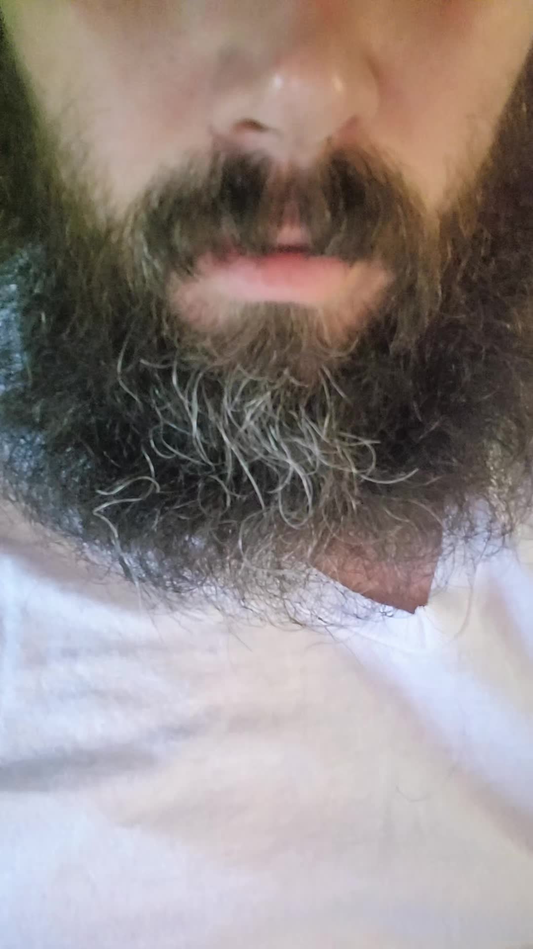 @ARCYEL