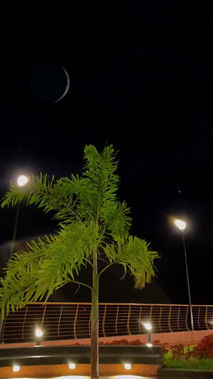 @ᦓꪀꫀꫝꪖ