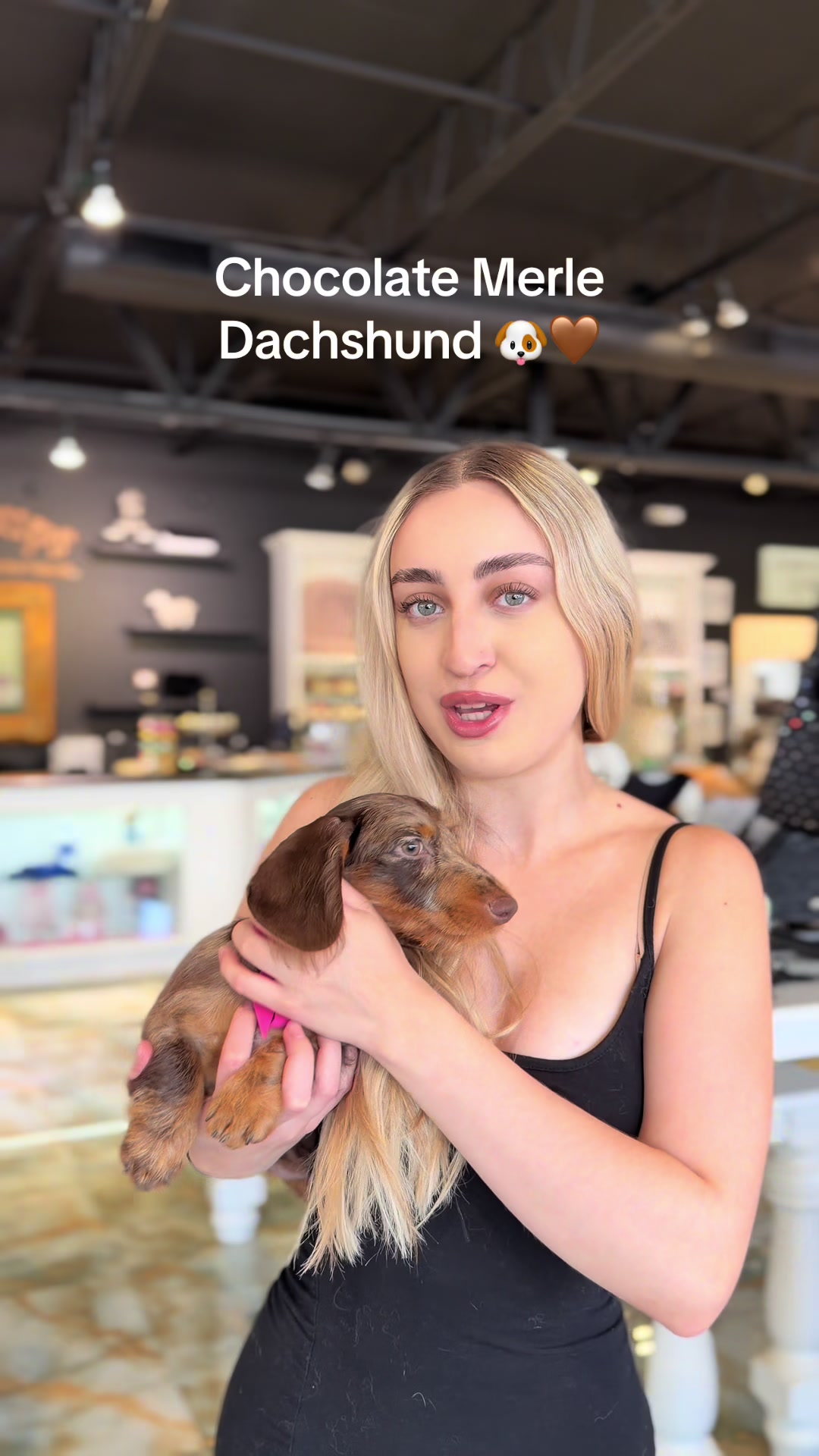 @TeaCups, Puppies & Boutique &reg;️