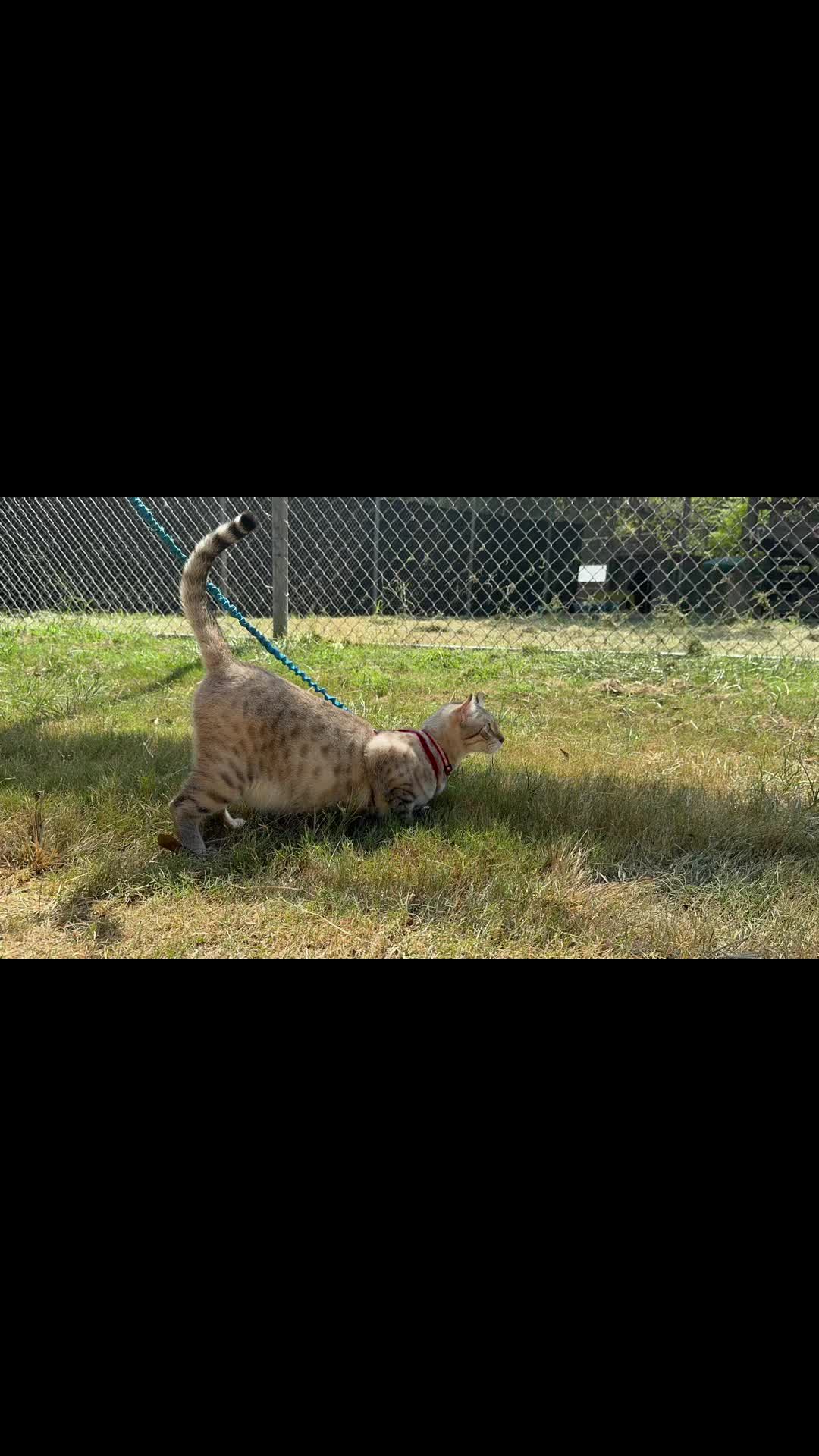 @Cedarhill Animal Sanctuary