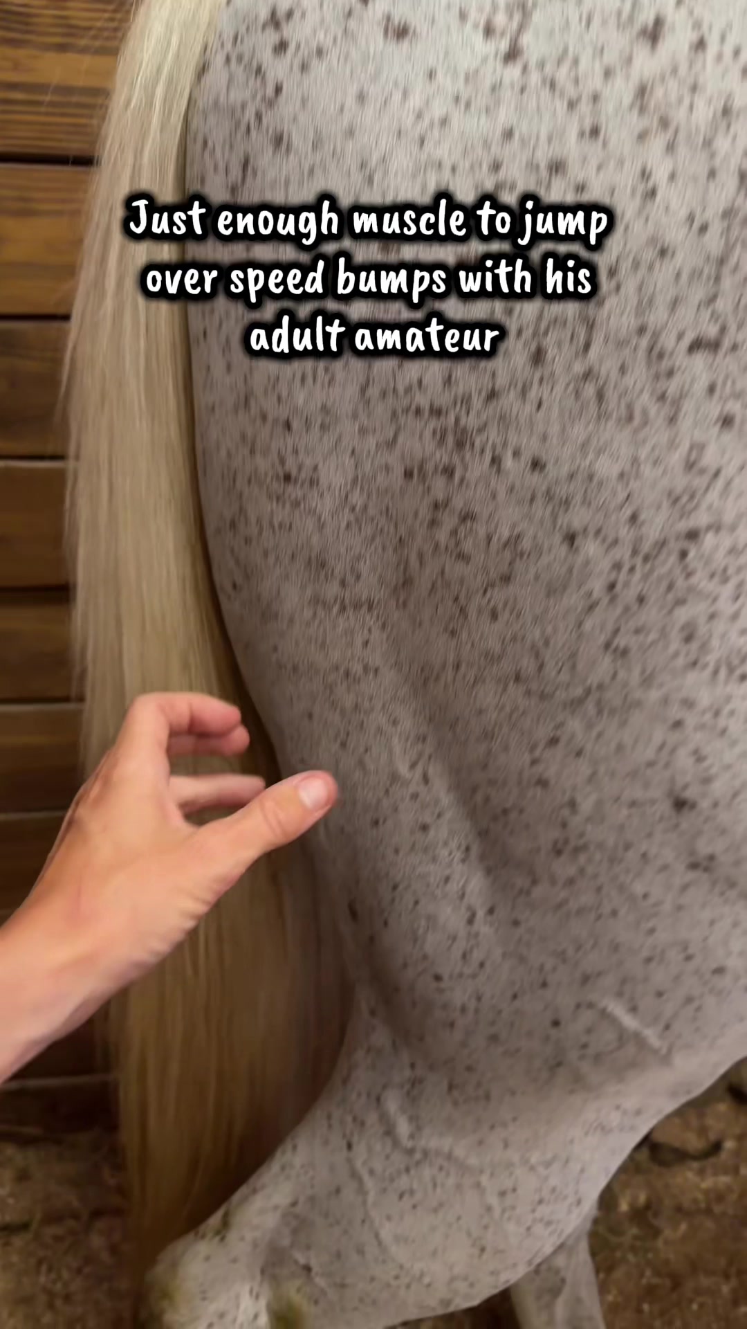 @AdultAmateurAF