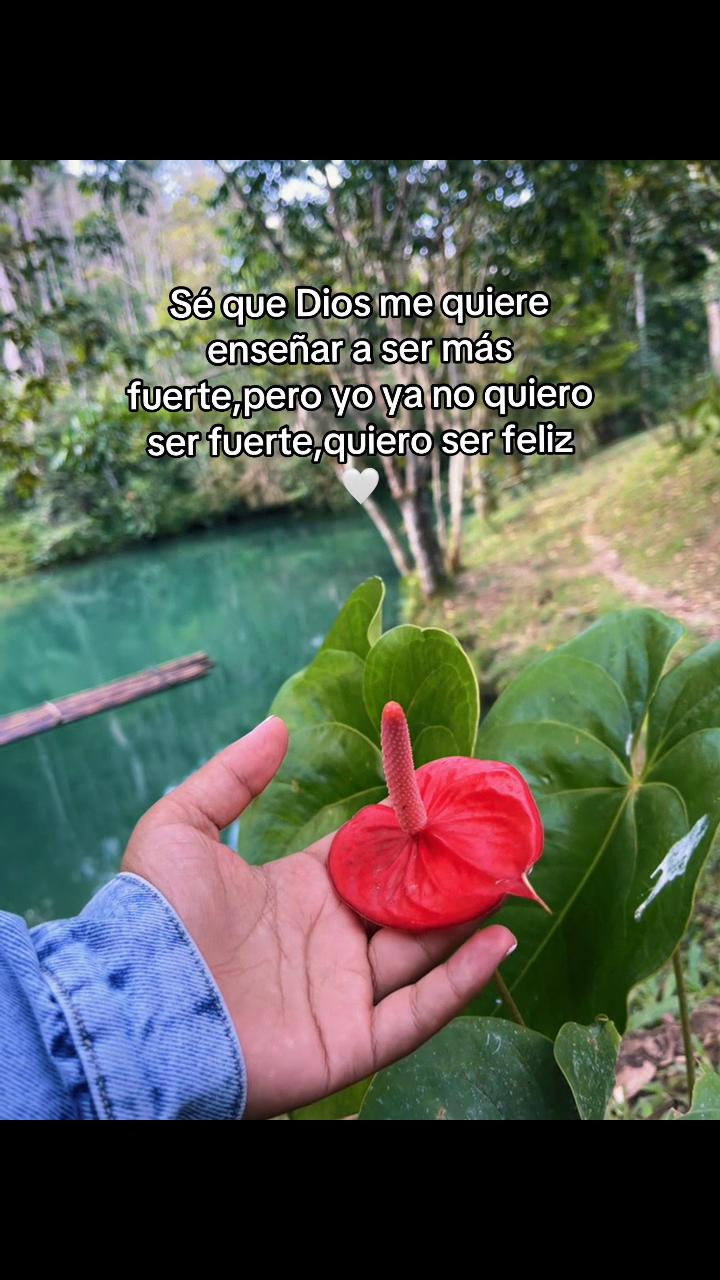 @𝓢𝓞𝓛🫦🫧