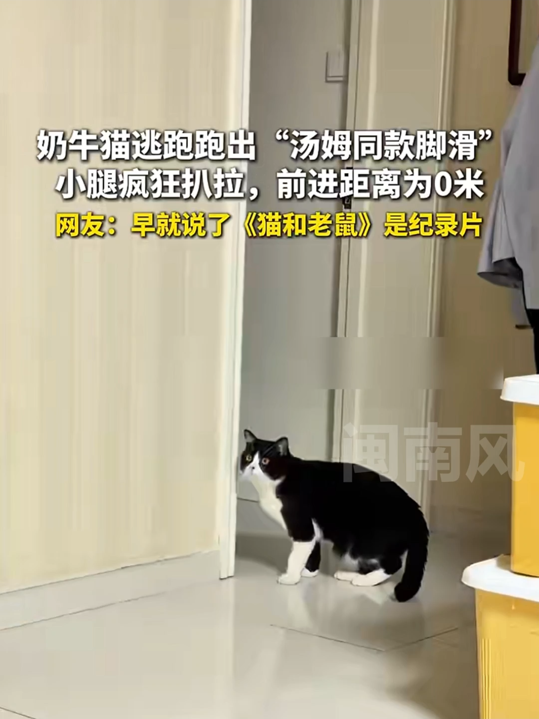 @闽南风～
